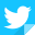 twitter-icon